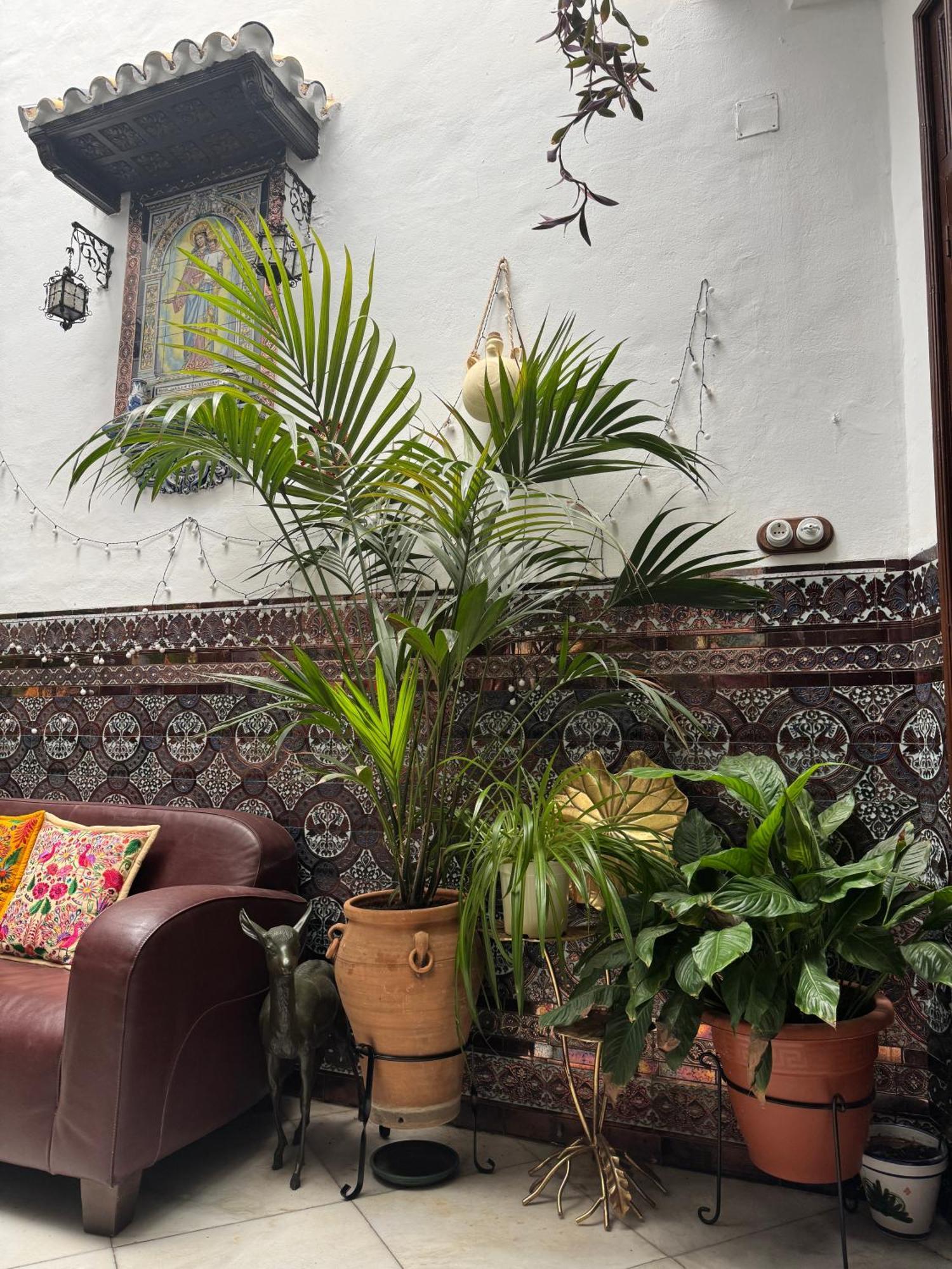 コルドバ Casa Palianiヴィラ エクステリア 写真